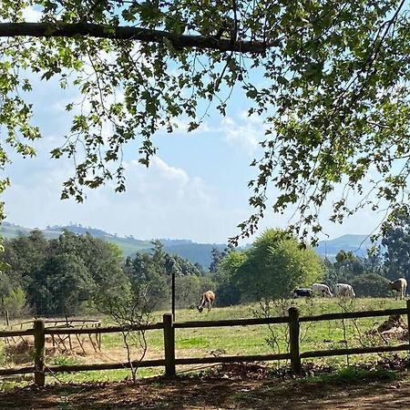 Yellowwoods Farm - Willoughbys Cottage And Old Stables Cottage Curryʼs Post エクステリア 写真