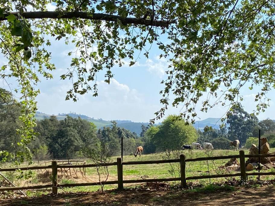 Yellowwoods Farm - Willoughbys Cottage And Old Stables Cottage Curryʼs Post エクステリア 写真