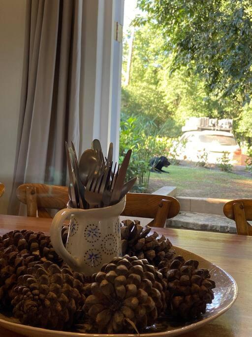 Yellowwoods Farm - Willoughbys Cottage And Old Stables Cottage Curryʼs Post エクステリア 写真