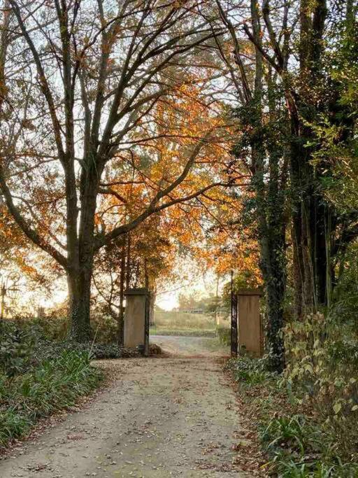 Yellowwoods Farm - Willoughbys Cottage And Old Stables Cottage Curryʼs Post エクステリア 写真