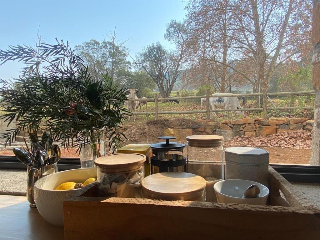 Yellowwoods Farm - Willoughbys Cottage And Old Stables Cottage Curryʼs Post エクステリア 写真